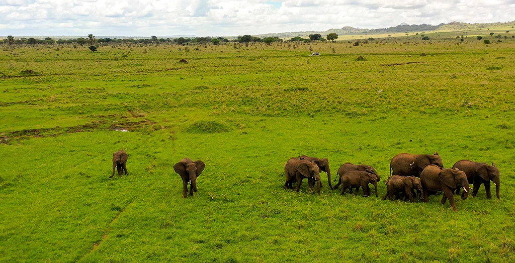 12 Days Best of Uganda and Rwanda