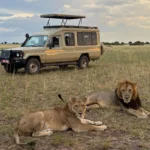 tips-on-saving-money-on-uganda-safari